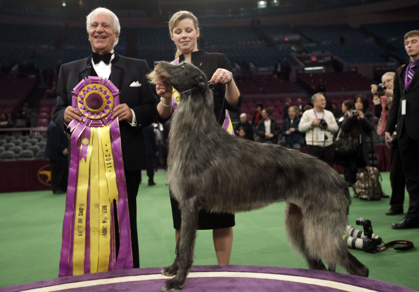 Westminster Dog Show